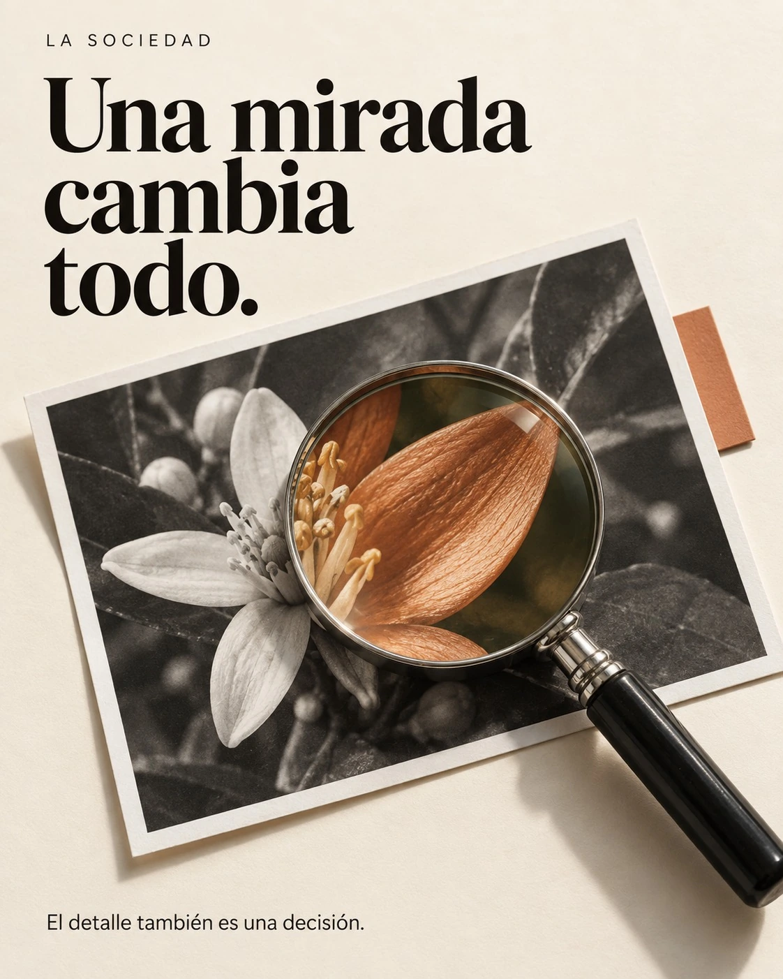 Lupa sobre una fotografía floral que revela un pétalo en color. Una mirada cambia todo. El detalle también es una decisión.